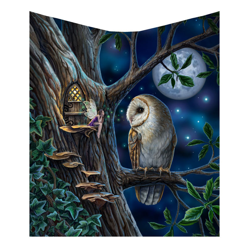 Puckator Lisa Parker Dream Catcher - Owl & Fairies Design, Medium Size (33 Cm) - View #10