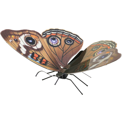 Metal Earth - Buckeye Butterfly 3D Laser Cut Model