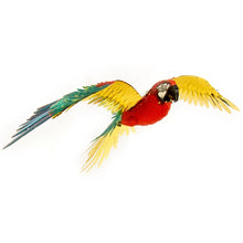 ICONIX - Parrot 3D Laser Cut Model