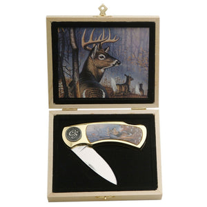 White Tail Deer Decorative Folding Knife in Timber Gift Box