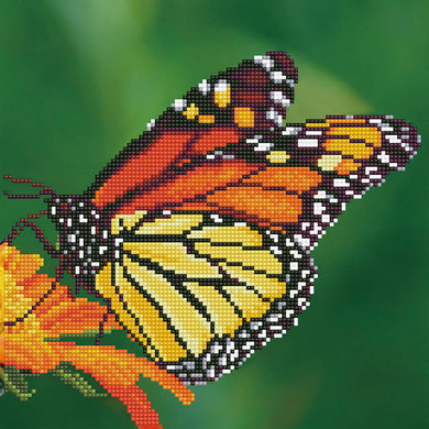DIAMOND DOTZ - Monarch Butterfly