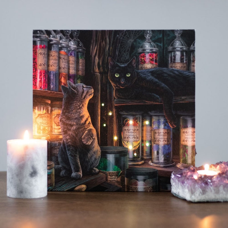 Magical Emporium Light Up Canvas by Lisa Parker