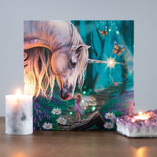 Fairy Whispers Light Up Canvas by Lisa Parker