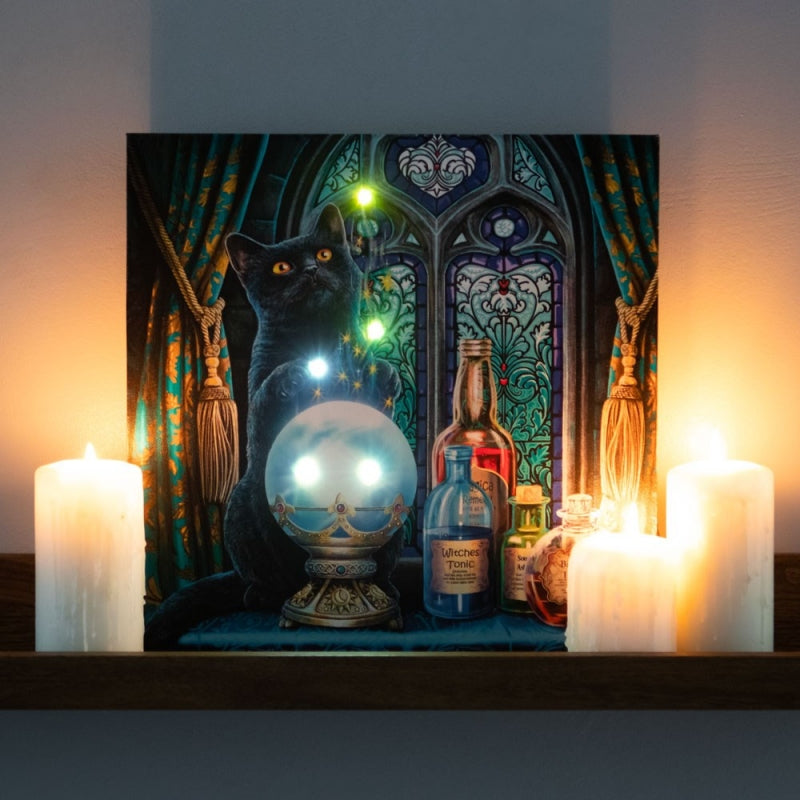 The Witches Apprentice Light Up Canvas by Lisa Parker