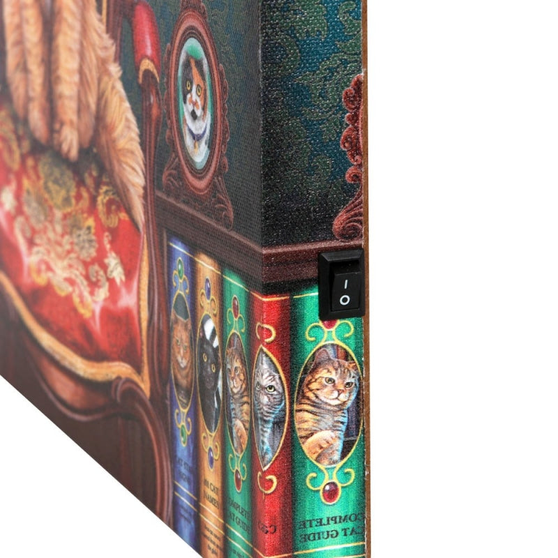 Mad About Cats Light Up Canvas by Lisa Parker