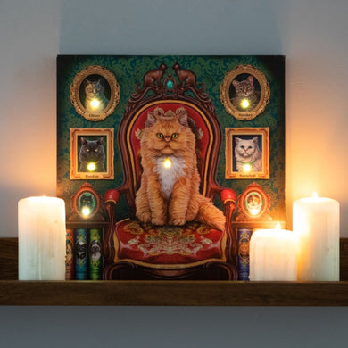 Mad About Cats Light Up Canvas by Lisa Parker