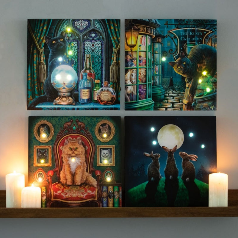 Mad About Cats Light Up Canvas by Lisa Parker