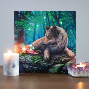 Fairy Stories Light Up Canvas by Lisa Parker