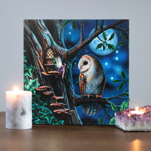 Fairy Tales Light Up Canvas by Lisa Parker