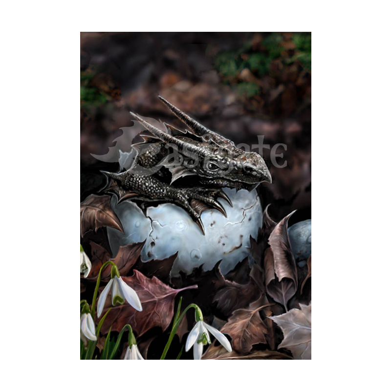 The Hatchling Art Print by Anne Stokes