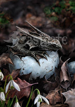 The Hatchling Art Print by Anne Stokes
