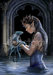Water Dragon Art Print by Anne Stokes