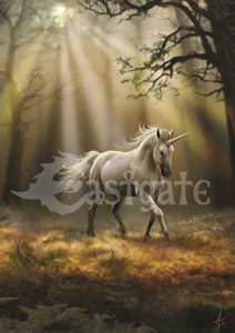 Glimpse of a Unicorn Art Print by Anne Stokes