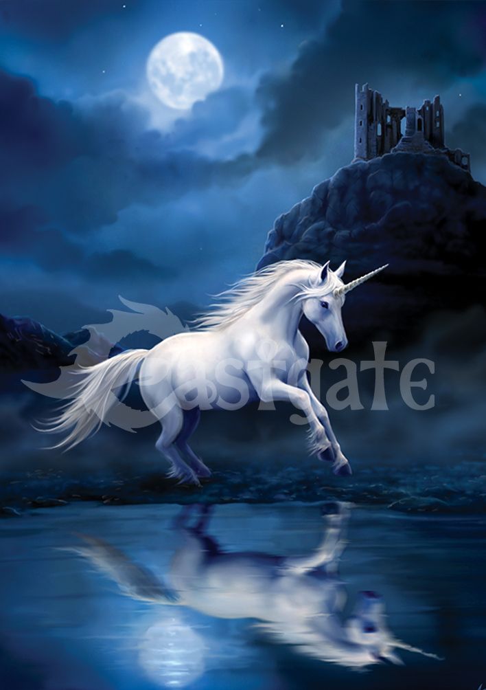Moonlight Unicorn Art Print by Anne Stokes