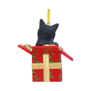 Present Cat Hanging Ornament by Lisa Parker