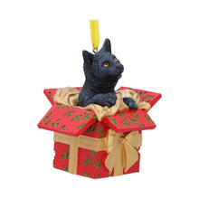 Present Cat Hanging Ornament by Lisa Parker