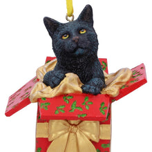 Present Cat Hanging Ornament by Lisa Parker