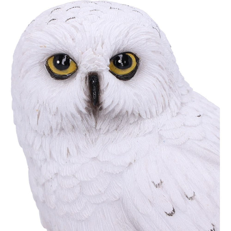 Wizard's Familiar Owl Figurine