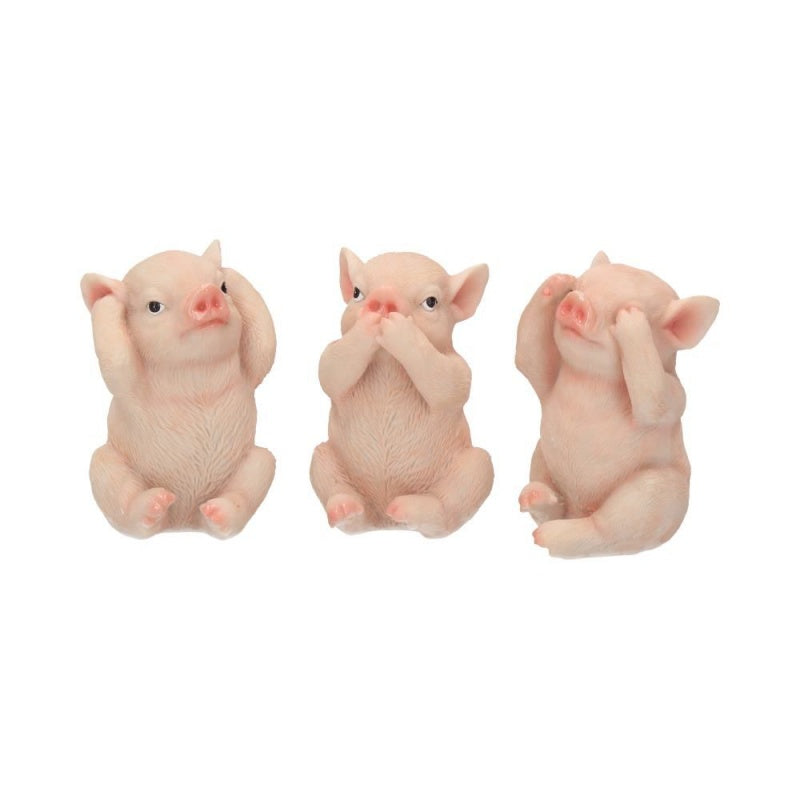 Three Wise Pigs Figurines