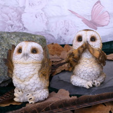 Three Wise Brown Owls Figurines
