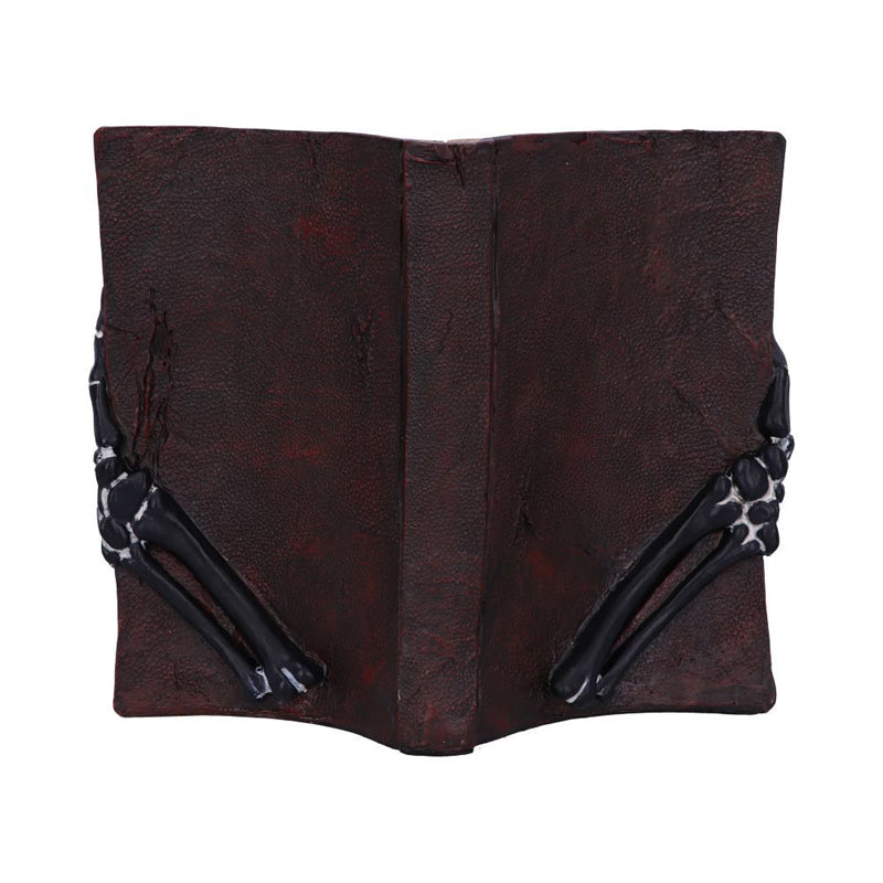 Psychic Compendium Palmists Grimoire Figurine