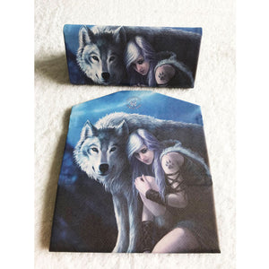 The Protector Glasses Case by Anne Stokes