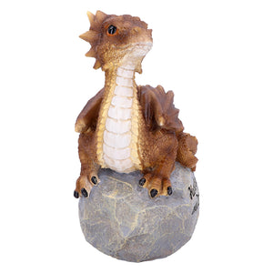 Home Is Where My Dragon Is Garden/House Figurine