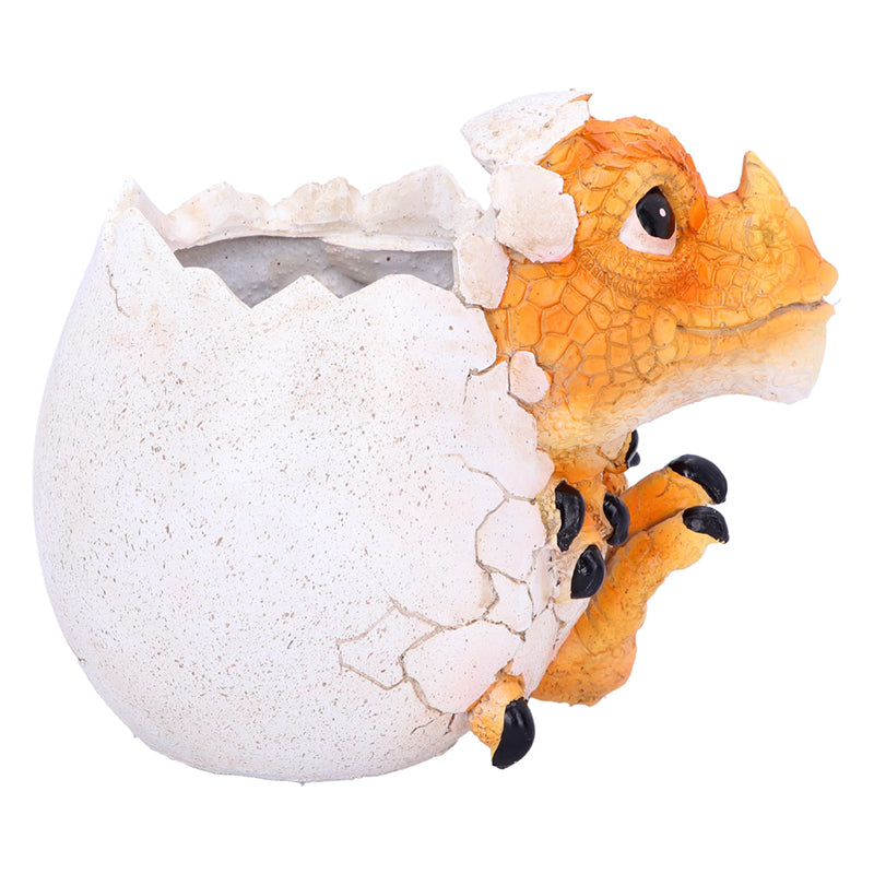 Home Is Where My Dragon Is Pot Garden/House Figurine