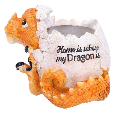 Home Is Where My Dragon Is Pot Garden/House Figurine