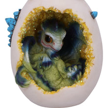 Hatchling Glory Backflow Incense Burner